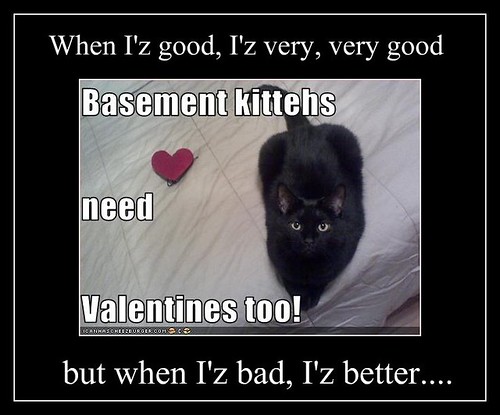 funny-pictures-basement-cat-wants-a-valentine-too