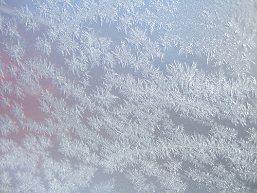 Frost on Car