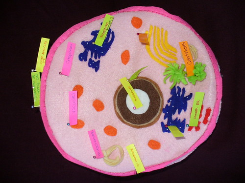 animal cell project. animal cell project photo 03