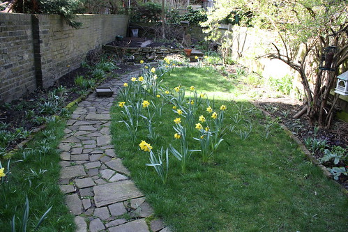 March garden