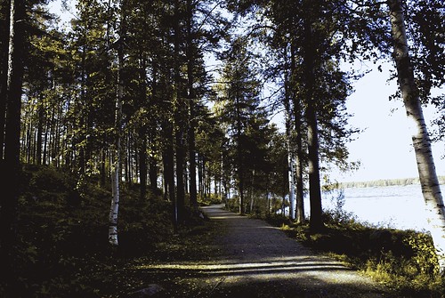 summer in Luleå