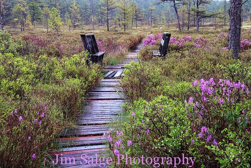 Jim Salge Photography - Spring at the Heath