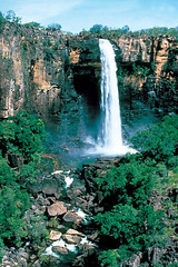 卡卡度國家公園，區域內有遼闊的原始森林。圖片提供：維基百科  