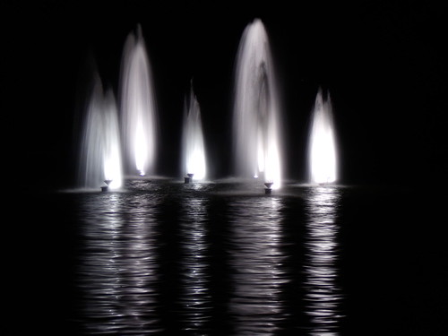 UCD Fountain