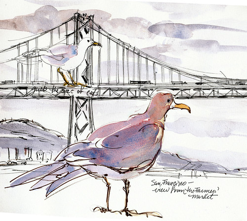Golden Gate bridge and gulls big as cats