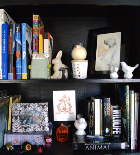 book shelves