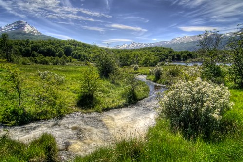 Stream in Patagonia
