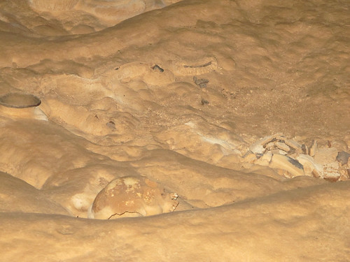 Mayan Skull in Actun Tunichil Muknal the ATM cave