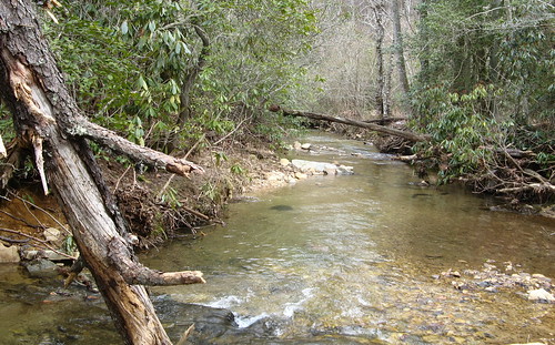 Creek view, Section 3