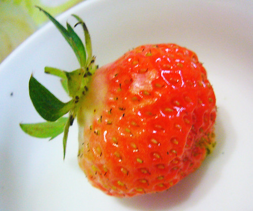 草莓 strawberry Erdbeer 