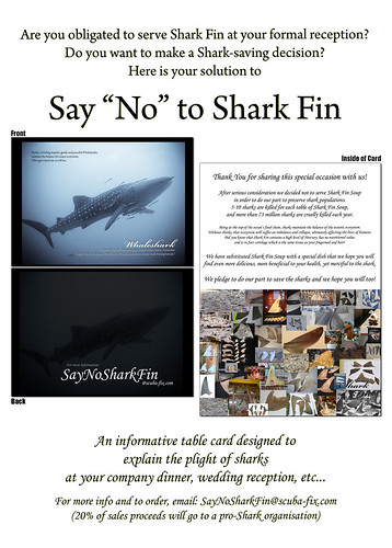 Save Some Sharks!