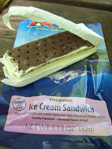 freeze dried ice cream sandwich