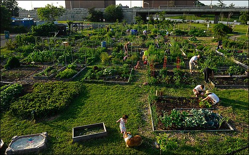Residents work on their private plots at the Virginia Avenue Community Garden, which is under consideration as a site for a Marine Corps barracks. 
