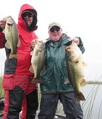 Trophy largemouths from Brazil!