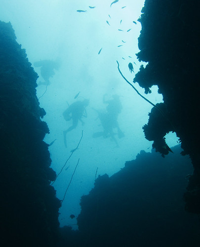Underwater Gulf of Thailand - White Rock 08