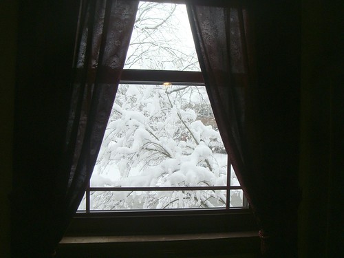 Looking out my window