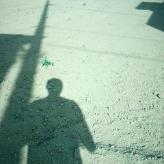 【写真】Shadow (MiniDigi)