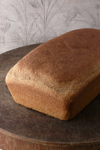 Easy No-Knead Whole Wheat Bread