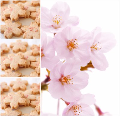Sakura Cookie Collage 2