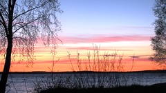 Golden sky beach beauty in Scandinavia #6