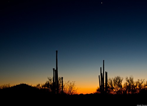Tucson Sunset 2