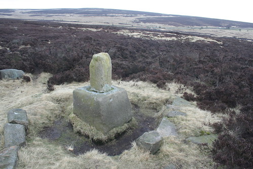 From Longshaw ~ 21st March 2010