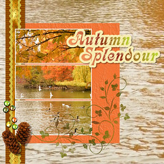 Autumn Splendour