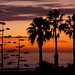 Southern California Sunset