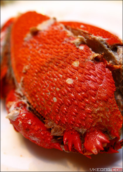 spaner-crab