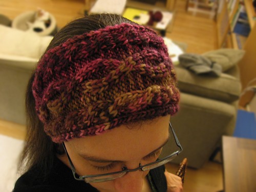 2010-01-26_headband.jpg