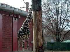 Zoo of Denver  DSCN0111_1