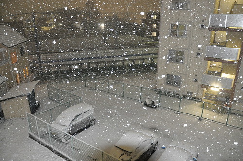 Nieve en Hiyoshi International House