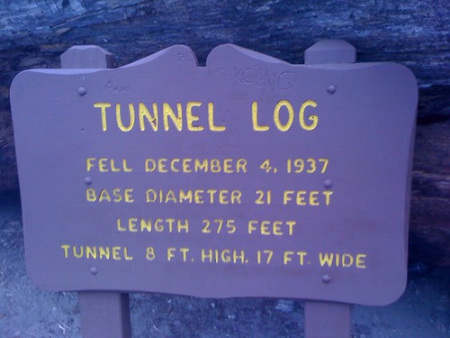 Tunnel Log board at Sequoia National Forest