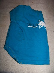 How to make a pet shirt from a baby shirt 7
