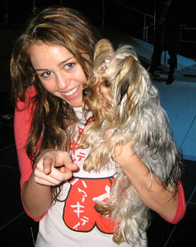 Miley with her's dog by AndreeaFlorea.