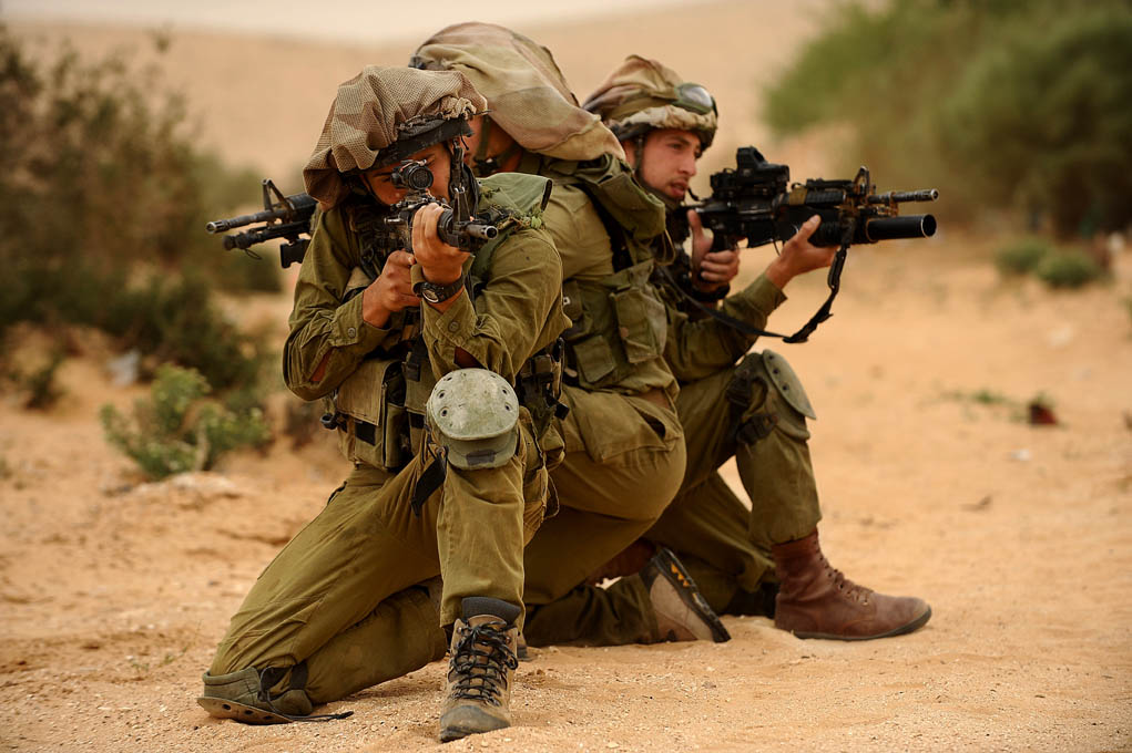 Армия Обороны Израиля vol. 79 