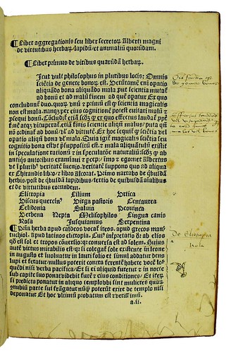 Marginal annotations in Albertus Magnus [pseudo-]: Liber aggregationis, seu Liber secretorum de virtutibus herbarum, lapidum et animalium quorundam