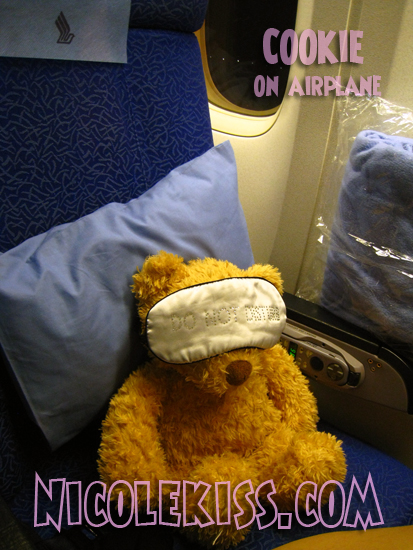 cookie on airplane
