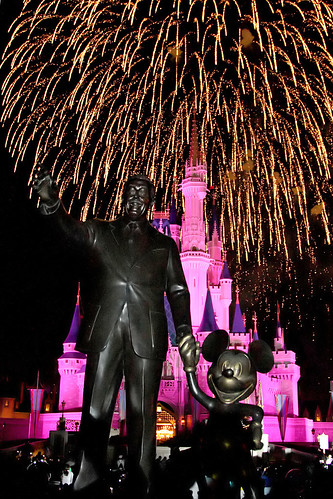 disney world magic kingdom fireworks. Walt Disney World - Magic