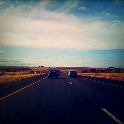 Life:  The Open Road