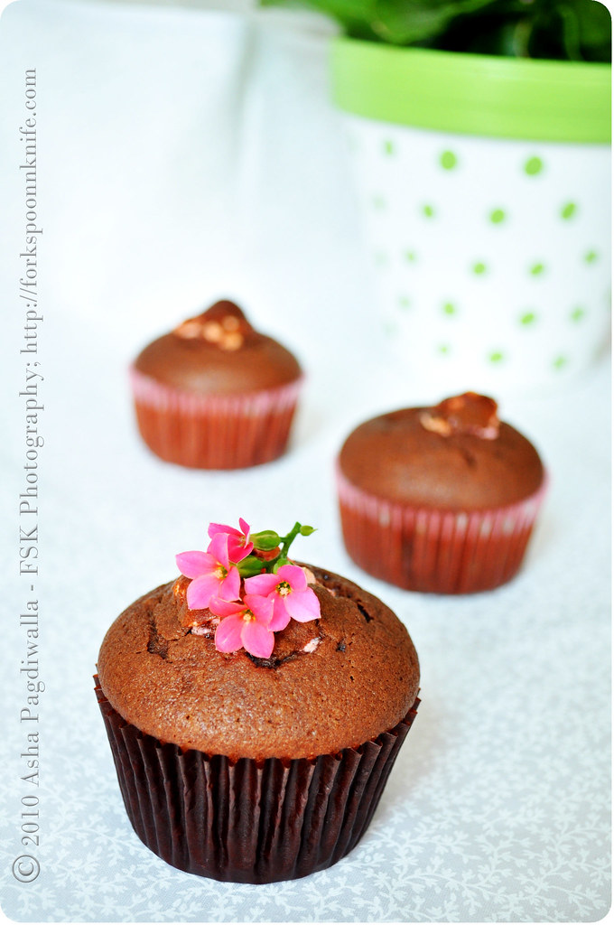 Chocolate Olive oil cakes