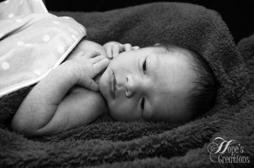 Kalamazoo Michigan Newborn Photography