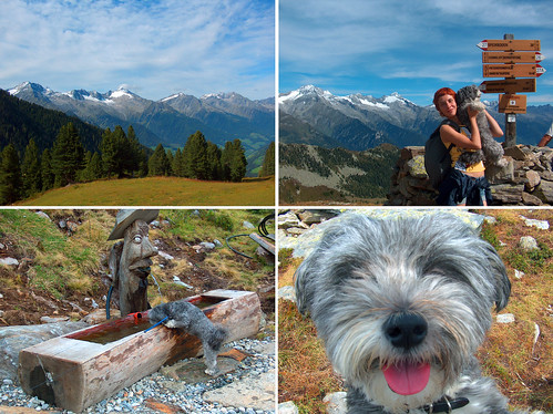 Escursioni in montagna d'estate nella Valle Aurina Alto Adige