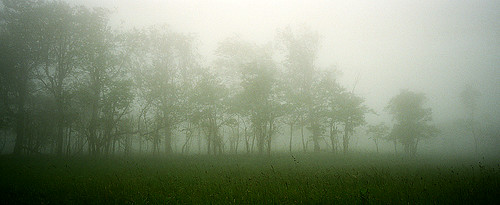 Big Meadows Fog
