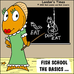school-fish1