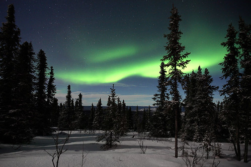  フリー写真素材, 自然・風景, オーロラ, 夜空, アメリカ合衆国, アラスカ州,  
