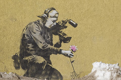 Banksy urban art video camera flower