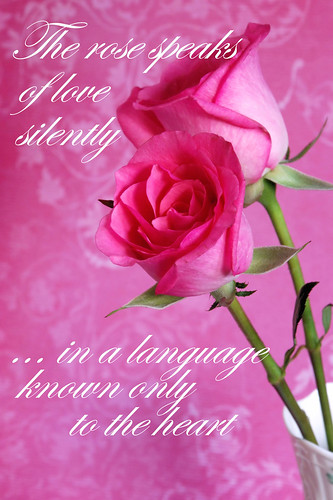rose day quotes images. Rose Day Quotes Pictures