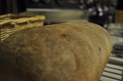 #25 Honey Wheat Bread