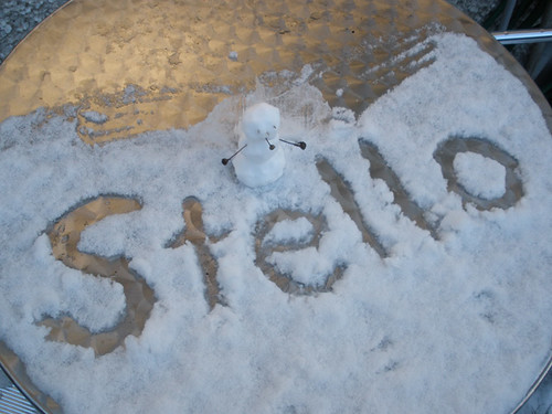 Snowman & Stello on the garden table
